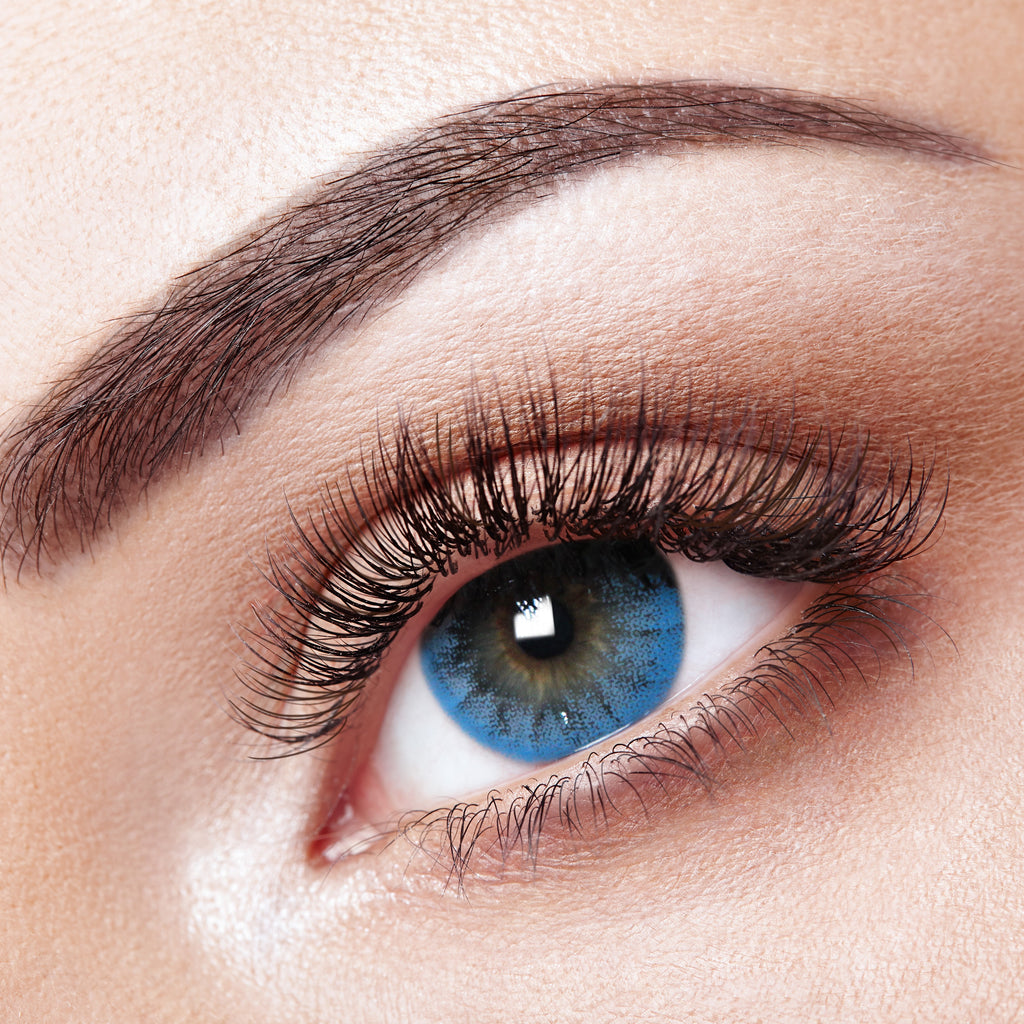Buckingham Blue/ Sky Blue – Lenses To You